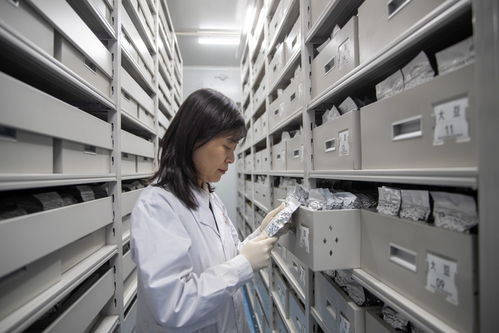 物联网技术研发 驱动黑龙江高质量发展的新引擎